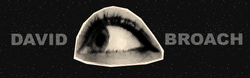 Website header used as animated Gif of a black and white eye looking right to left. Loop seq video. Says David Broach.com above it in block letters